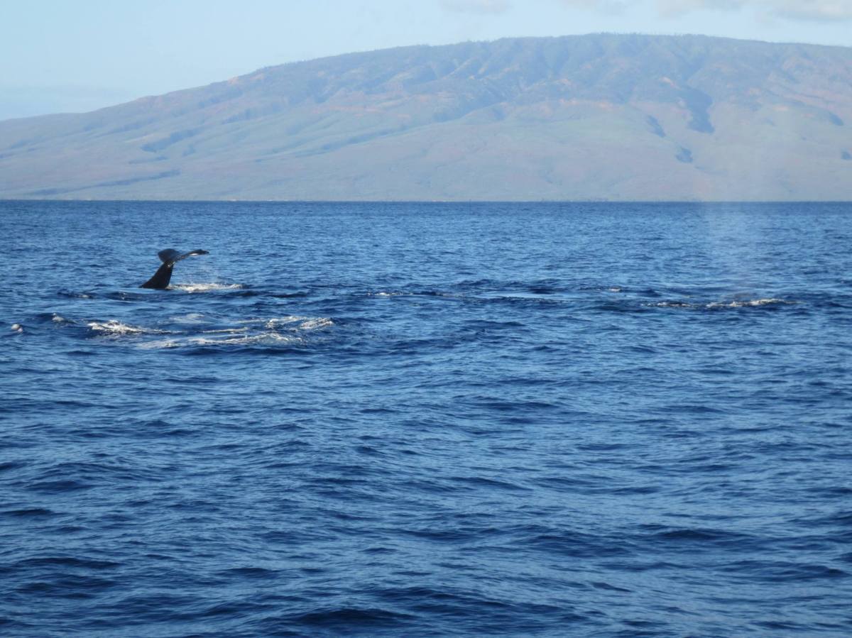 18156754_10212110432183721_3330464540115859658_o